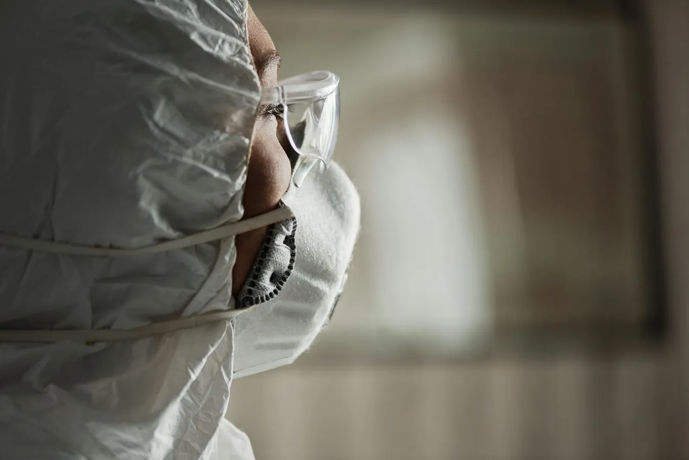 Exterminateur professionnel ou traitement maison : que disent vraiment les faits ?
