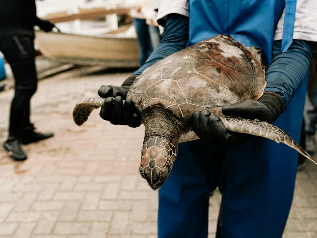 centre-de-sauvetage-de-la-faune