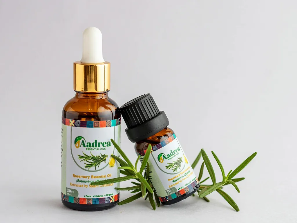 plantes-dhuiles-essentielles